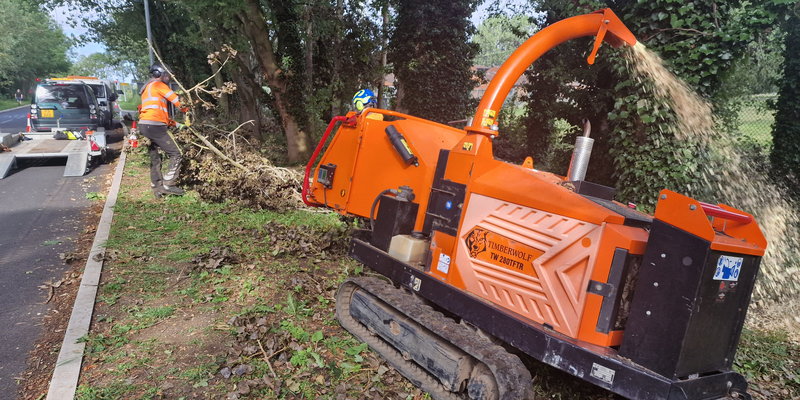 Commercial tree surgeons Cambridge | Shelford Tree Service