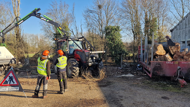 Case studies | Shelford Tree Service