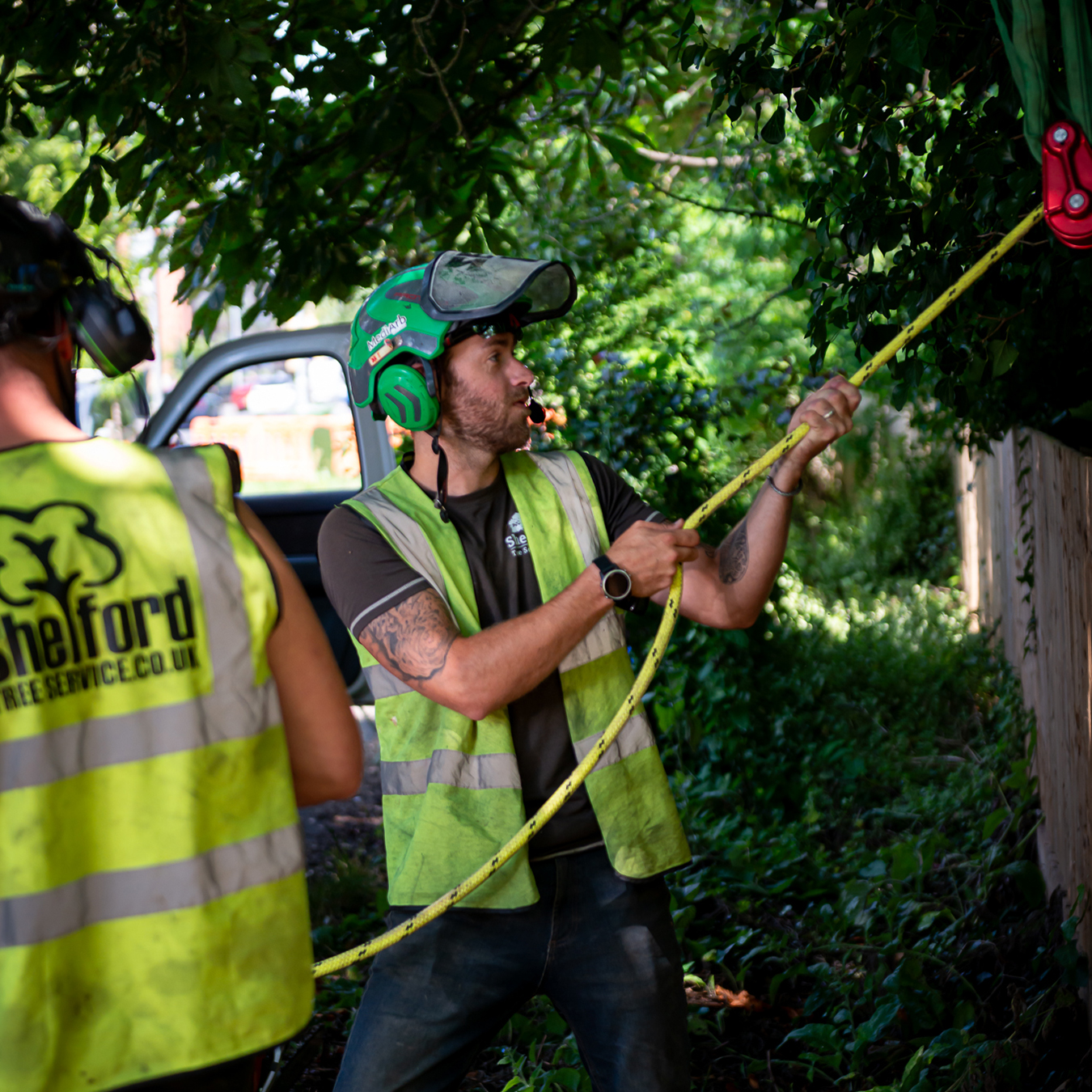 Shelford tree service domestic 3