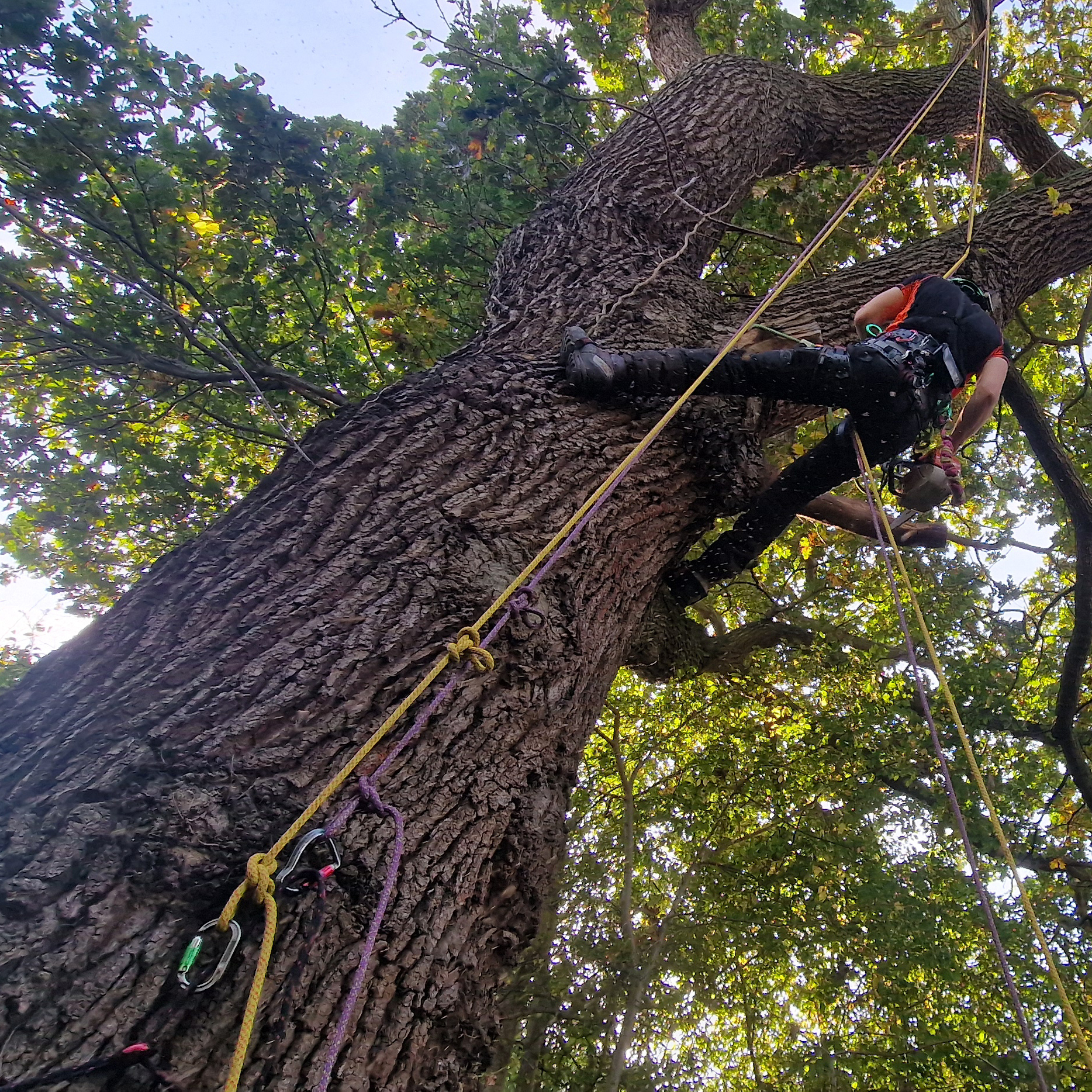 Rigging System - Commercial